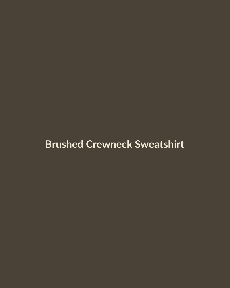 Brushed Crewneck Sweatshirt - HIRVY